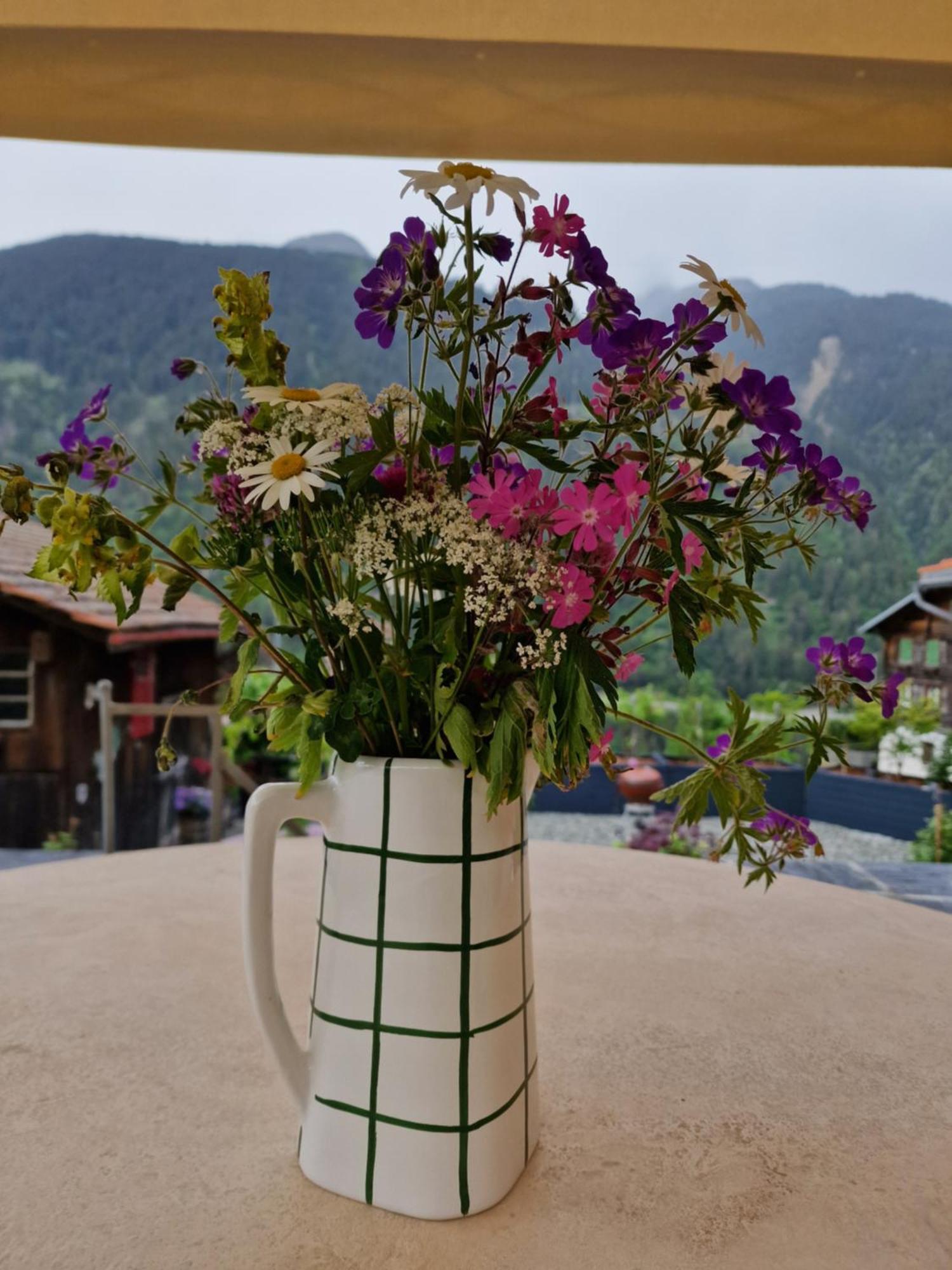 Chesa Prema Bed & Breakfast - Restaurant Disentis Exterior foto